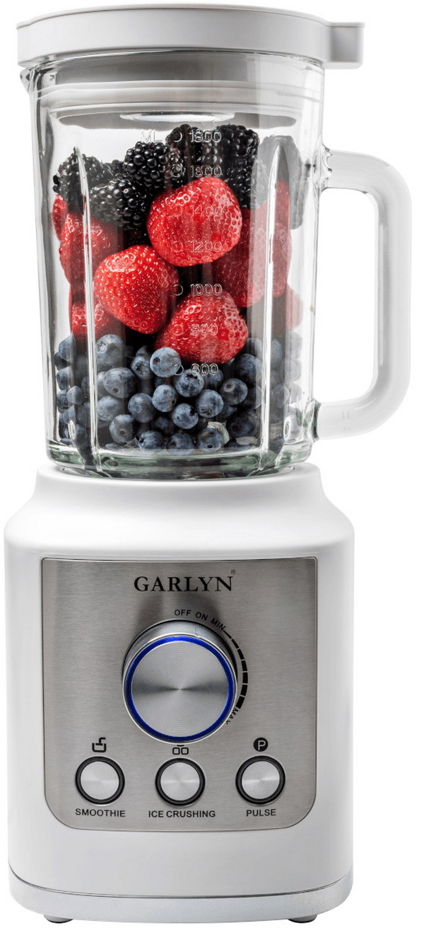 Blender Garlyn S-300